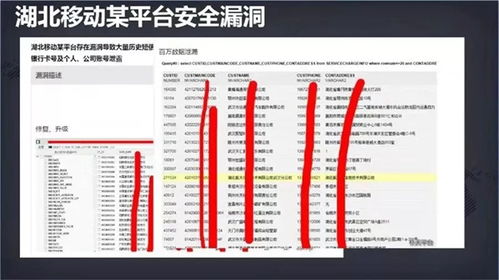 守護(hù)數(shù)字身份 網(wǎng)絡(luò)安全周下，應(yīng)對(duì)個(gè)人信息泄露與安全軟件的選擇之道